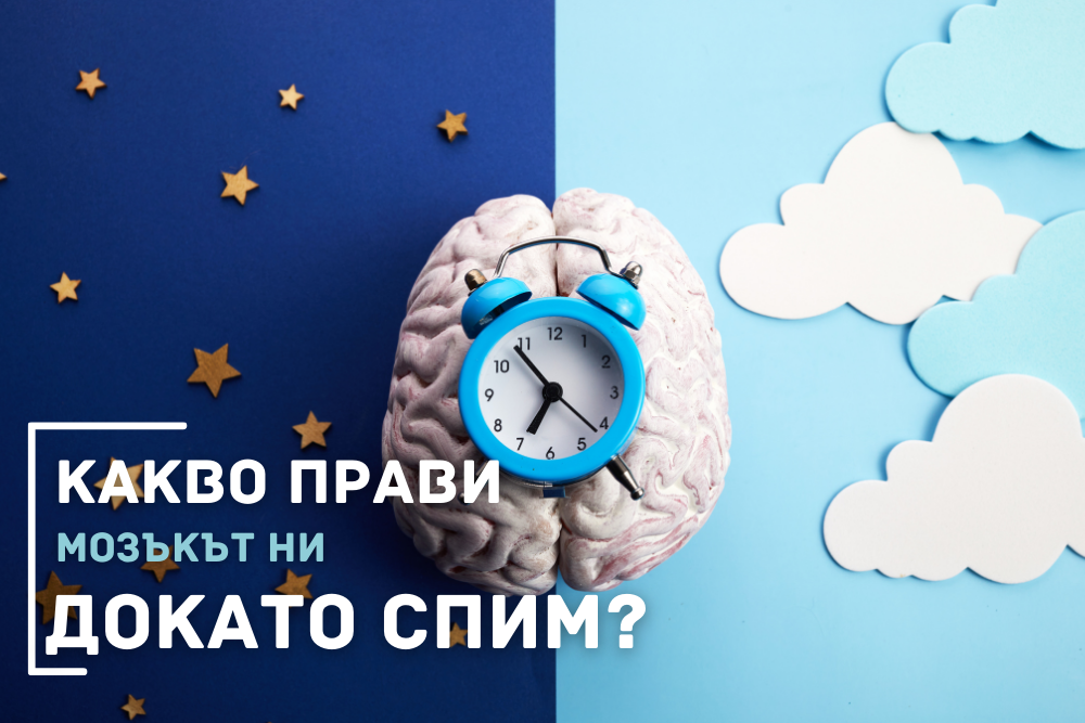 Какво се случва с мозъка ни докато спим?
