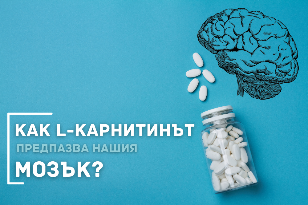 Ацетил-L-Карнитин: Ползи за правилна мозъчна функция