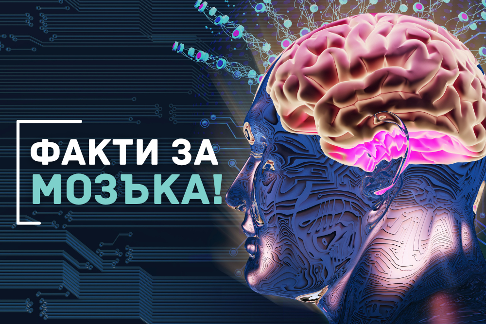 Интересни факти за мозъка и фокуса, които може би не знаеш