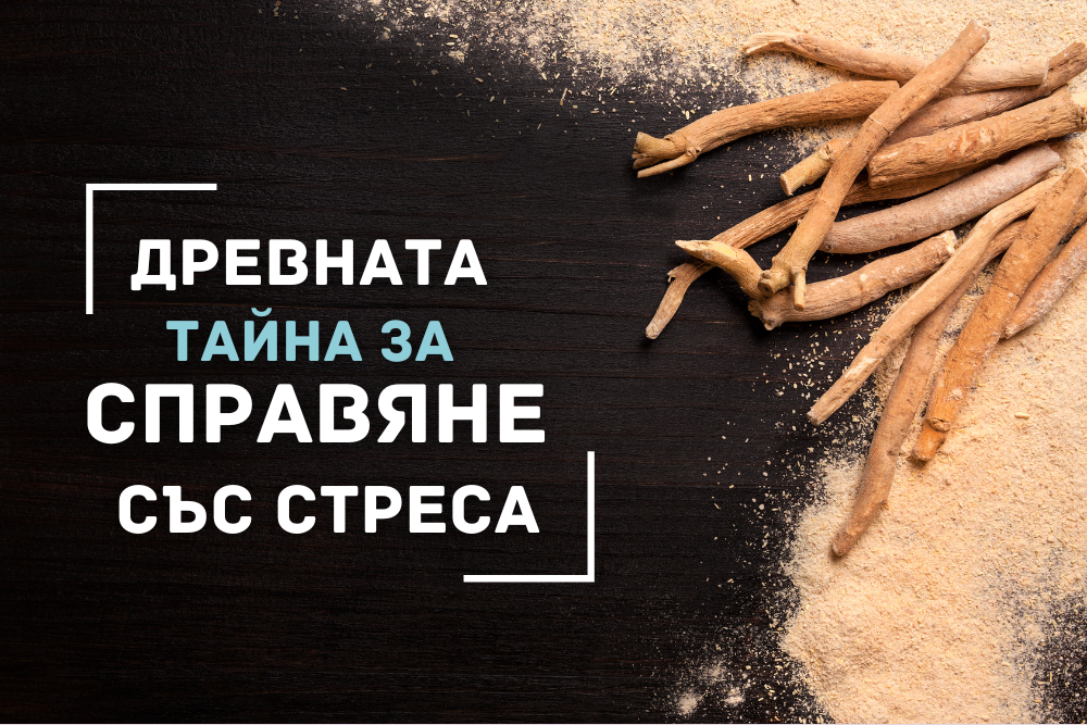 Как Aшваганда може да намали стреса и да подобри мозъчната функция