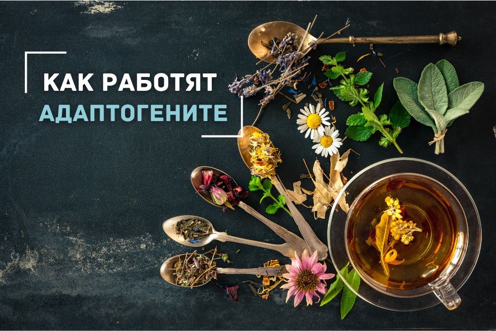 Как работят адаптогените и защо всички говорят за тях?