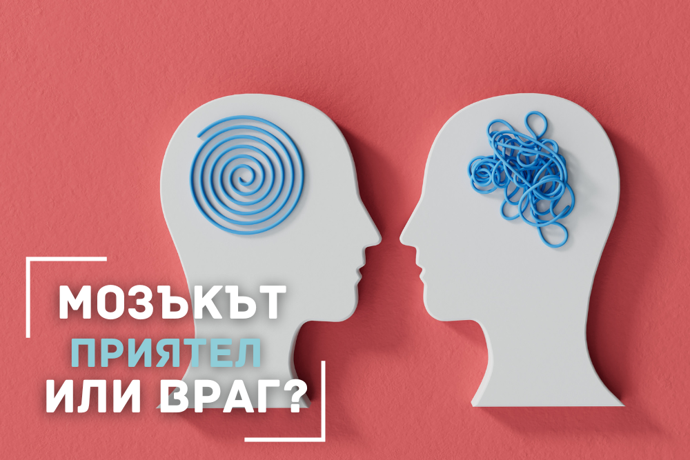 Мозъкът – твоят най-добър приятел или враг?