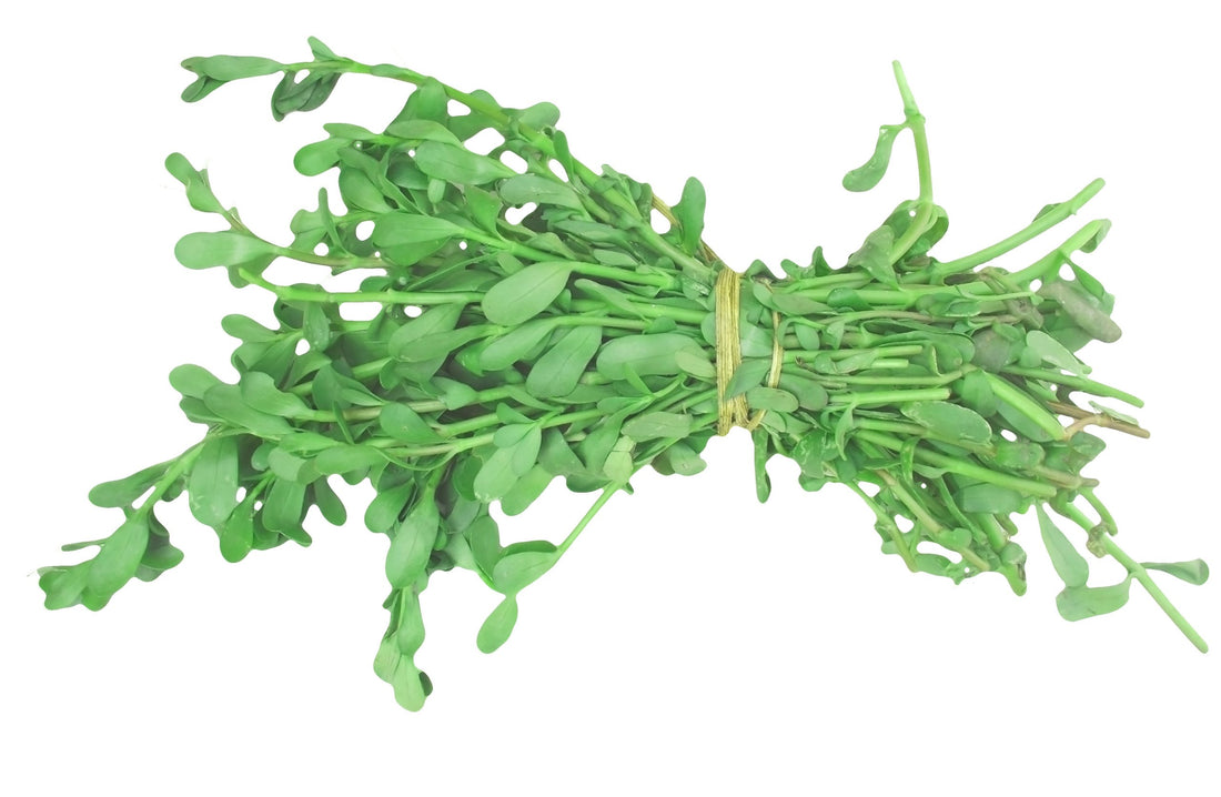 Бакопа Мониери - съставката чудо!